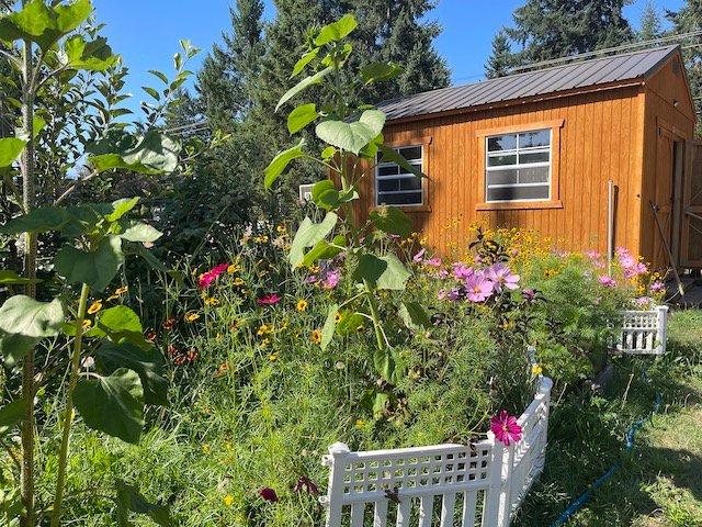 Community Garden & shed