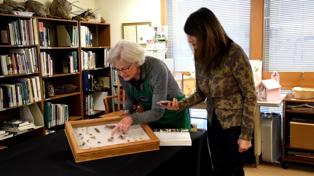 Woman helping a client identify and insect.