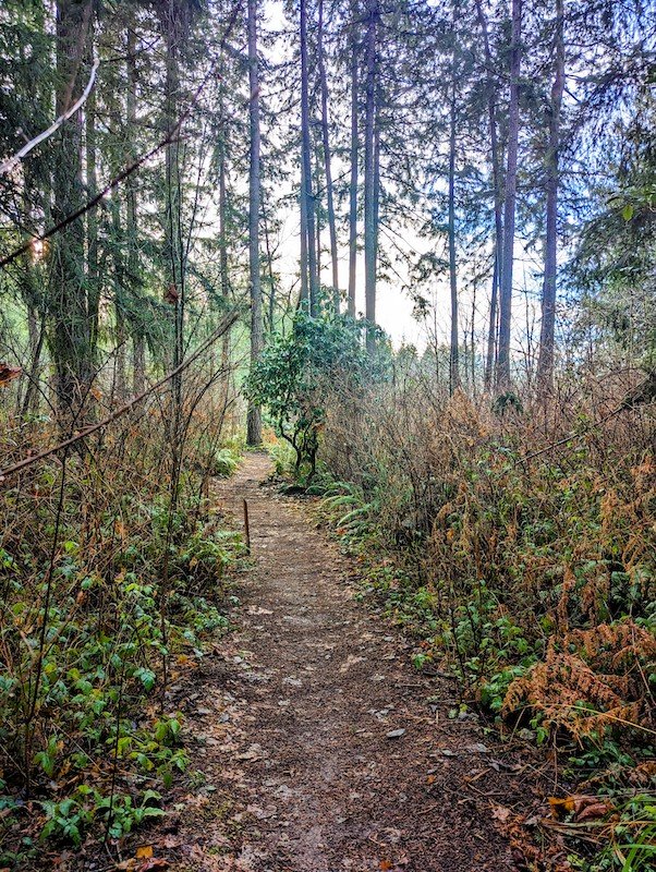 The Heritage Garden walking trail