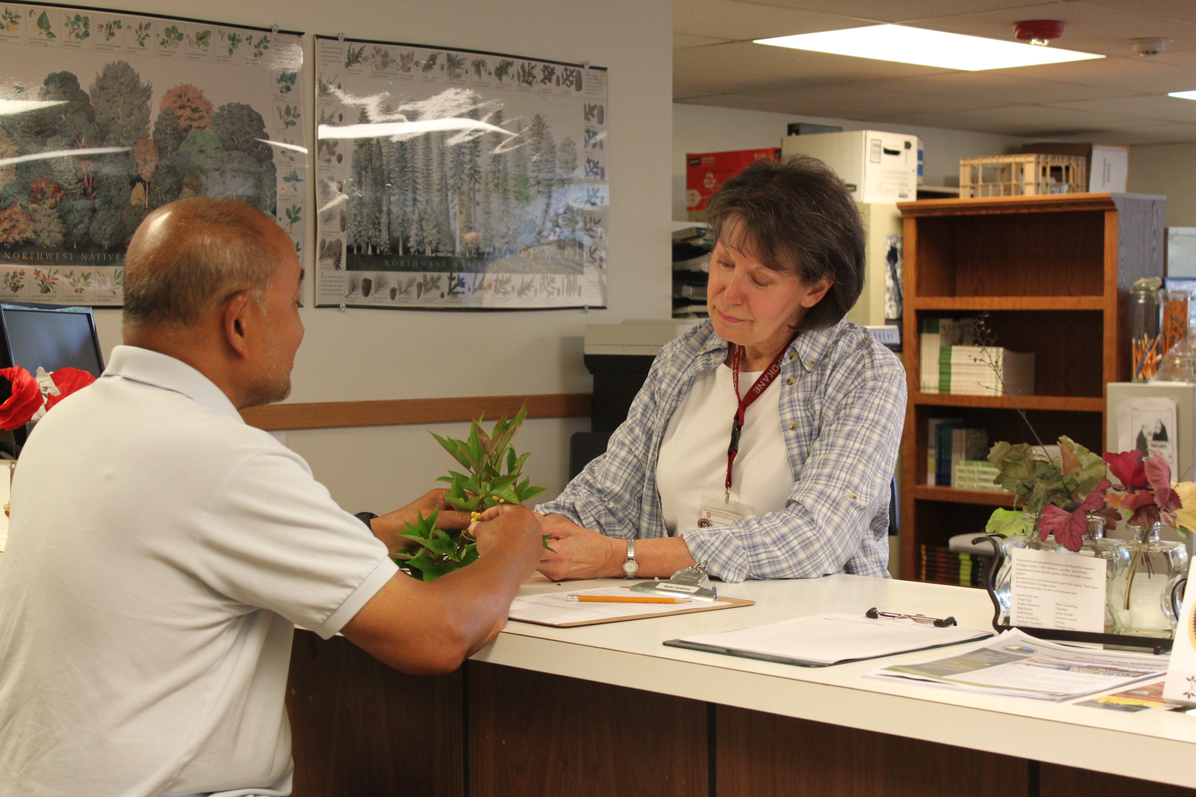 Volunteer answering your questions