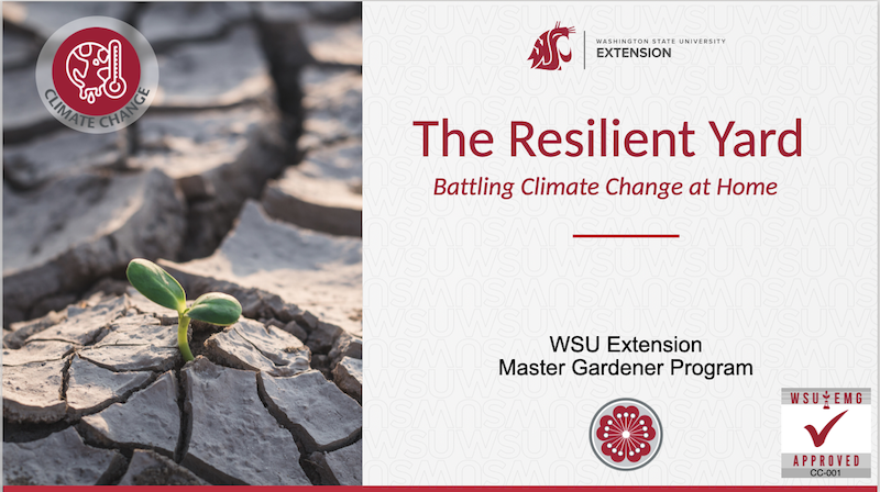 The Resilient Yard screen shot