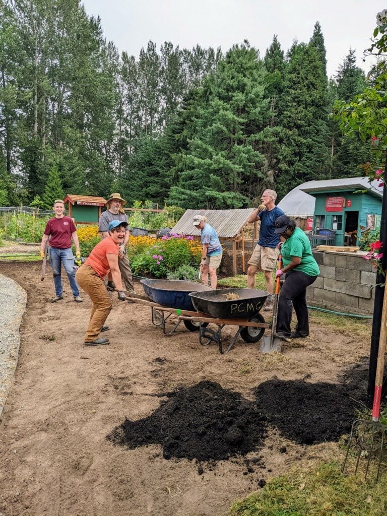 Building raised beds