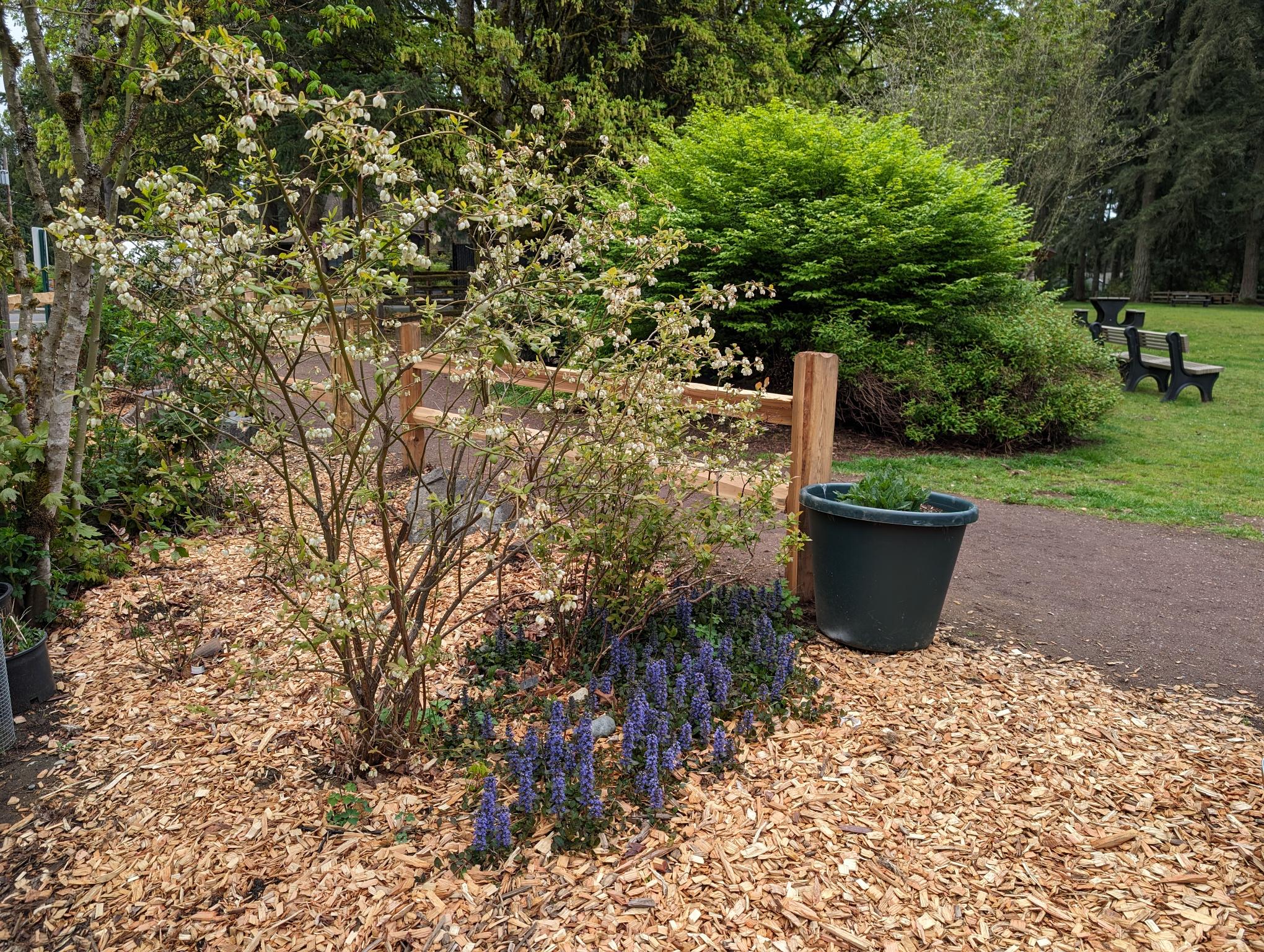 Animal Acres Demonstration Garden border