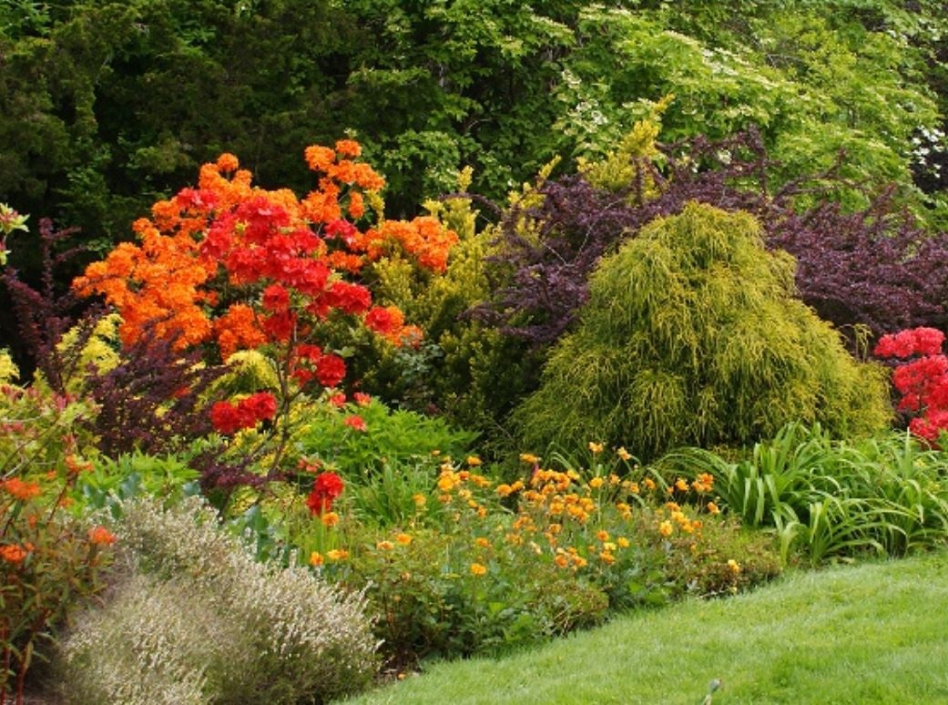 Colorful garden bed in bloom at Soos Creek Demonstration Garden