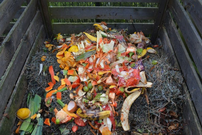 Fresh compost bin with food scraps