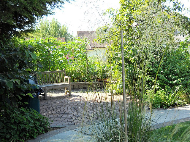 Thyme Patch Park bench in garden