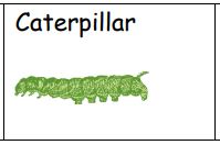 caterpillar