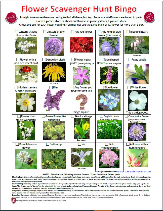 Flower scavenger hunt bingo card with 25 flower photos