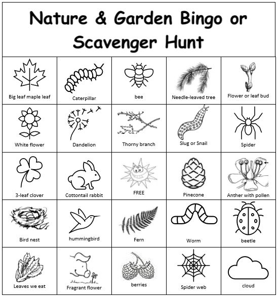Nature and garden bingo card