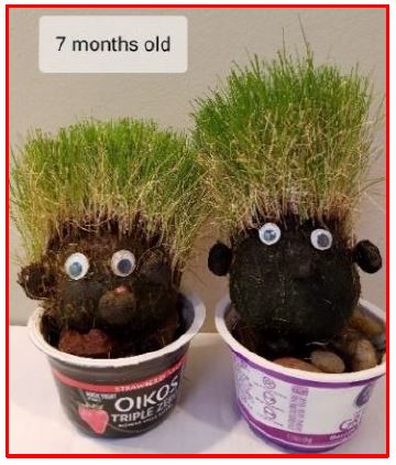 seed creatures with grass hair and novelty eyes
