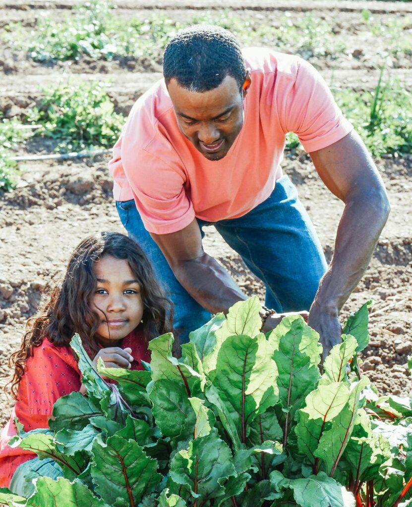 adult man with girl and chard in garden