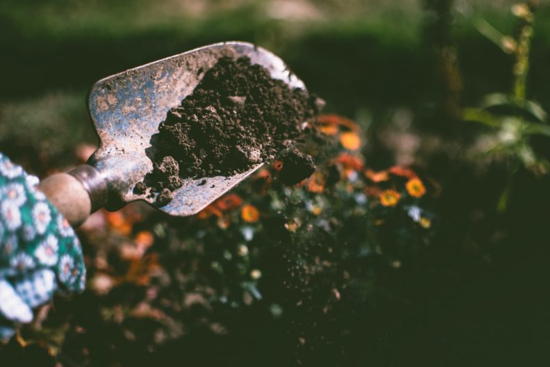 soil in a trowel