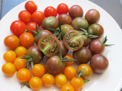cherry tomatoes on plate