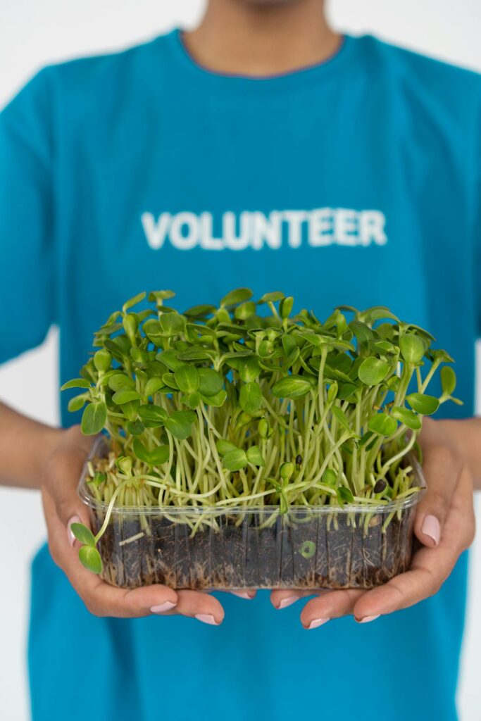 volunteer holding plant seedlings
