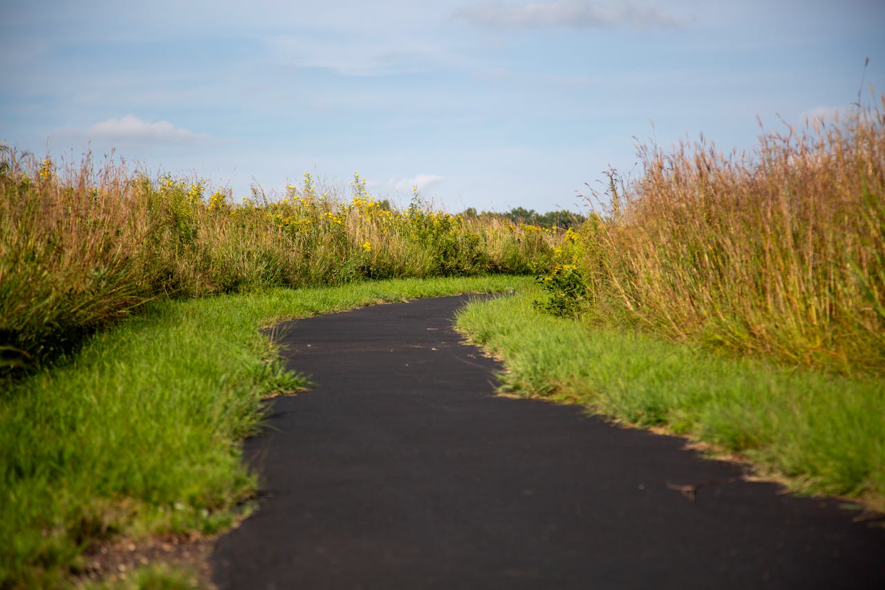 path through native plant meadow
