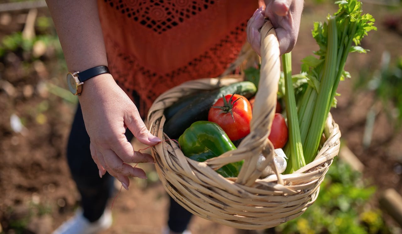 person holding vegetable basket