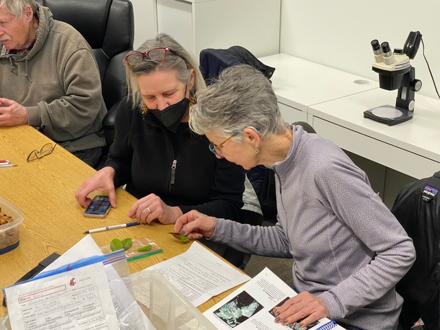 Ask a Master Gardener Laboratory