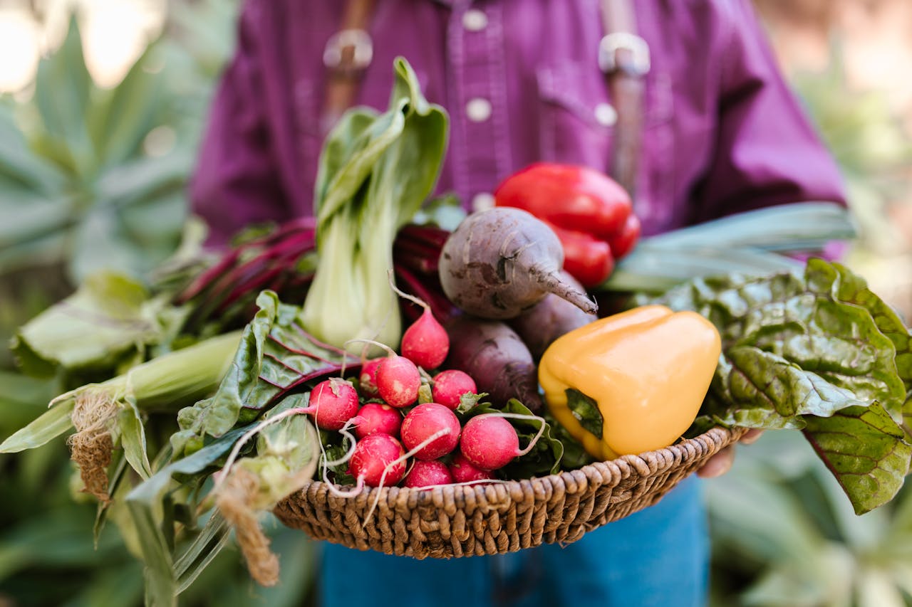 basket full of vegetables