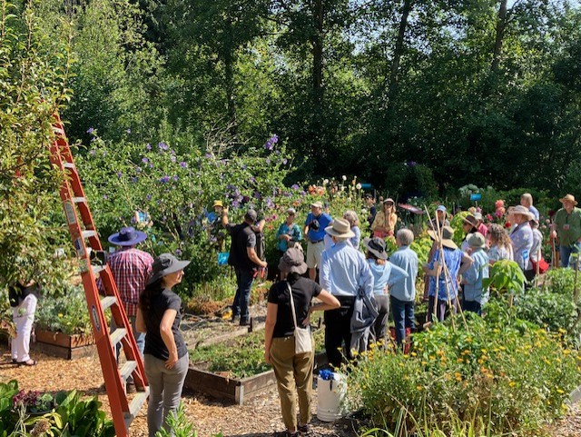 Master Gardener pruning class