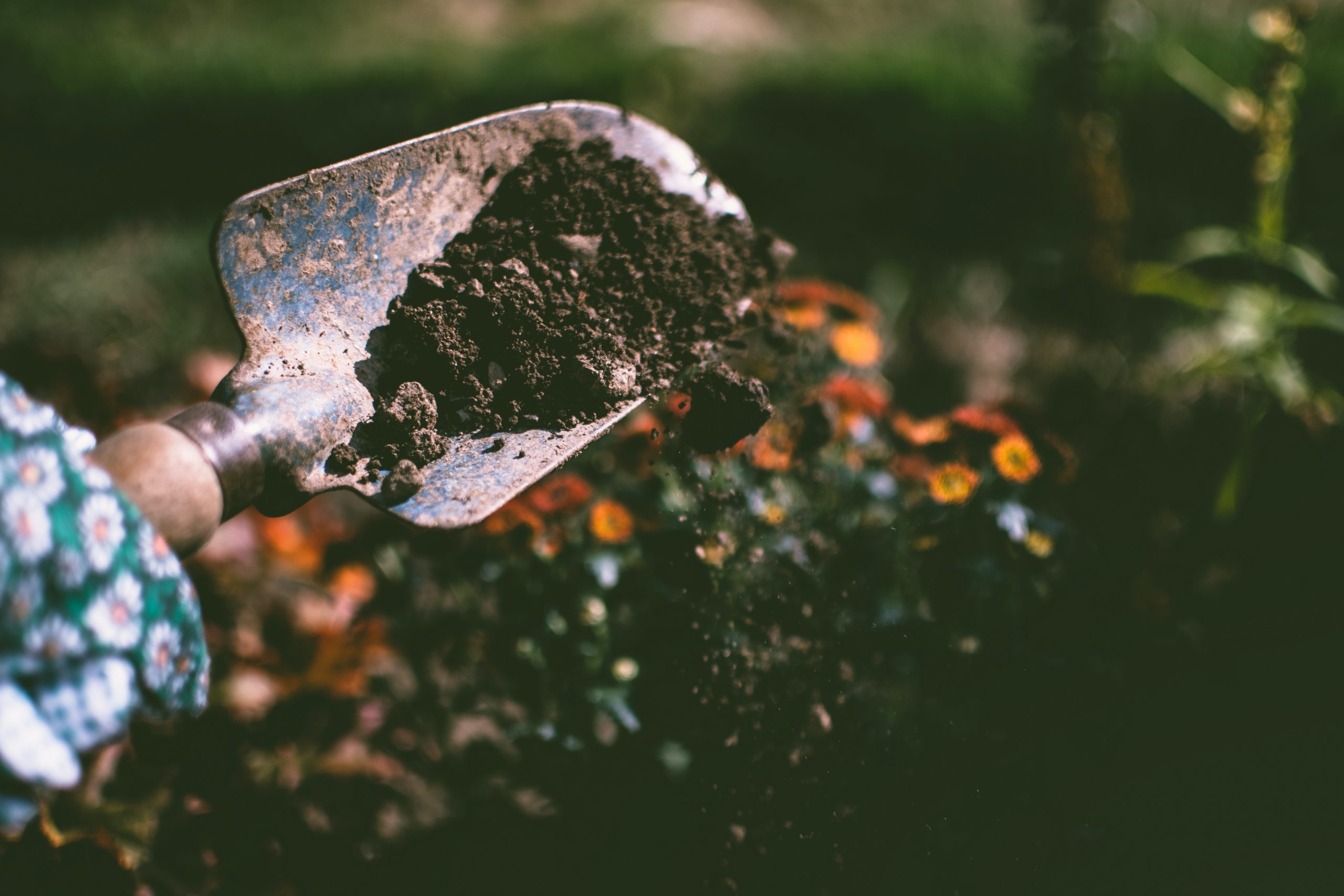 Person digging soil with trowel