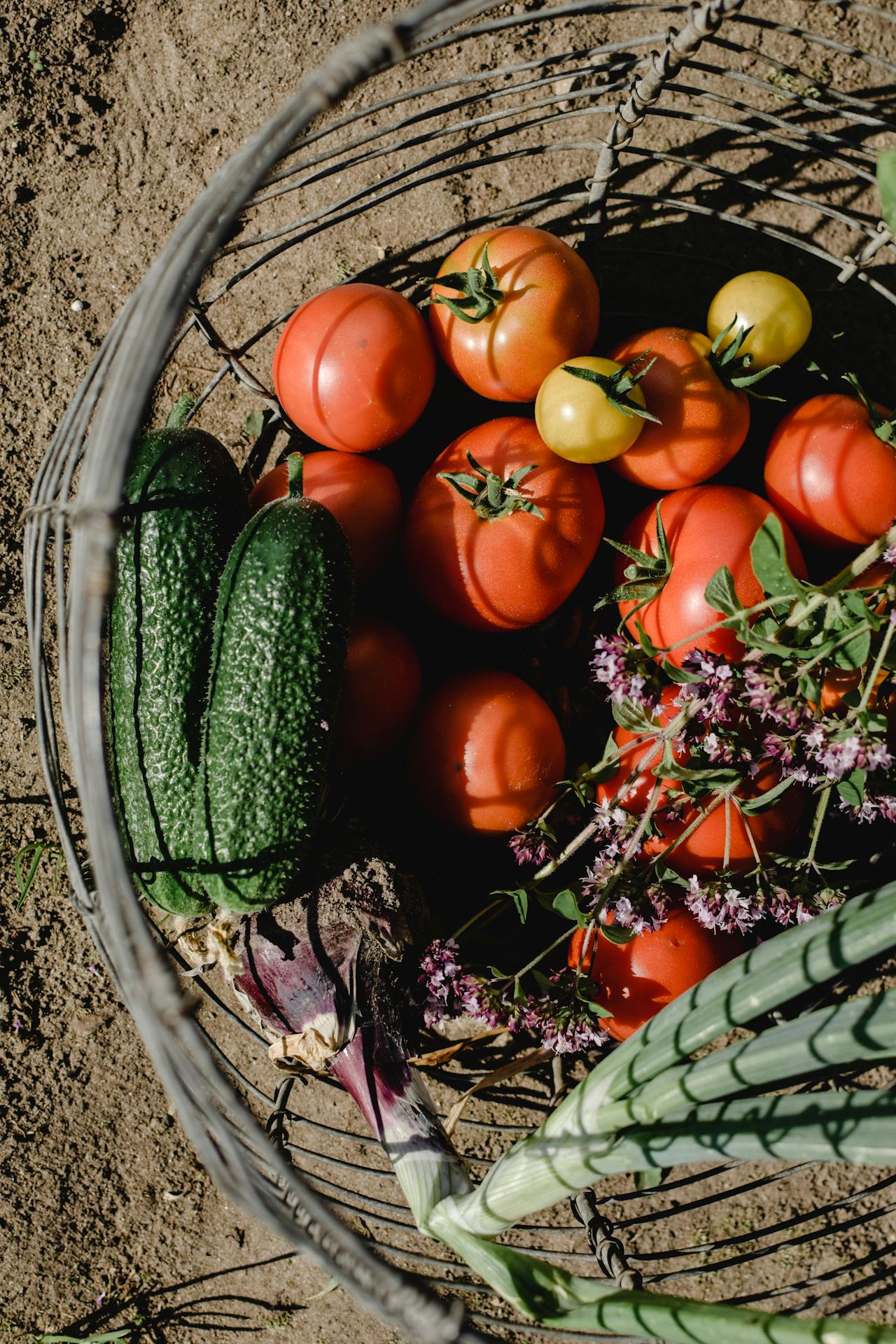 Vegetables in basket