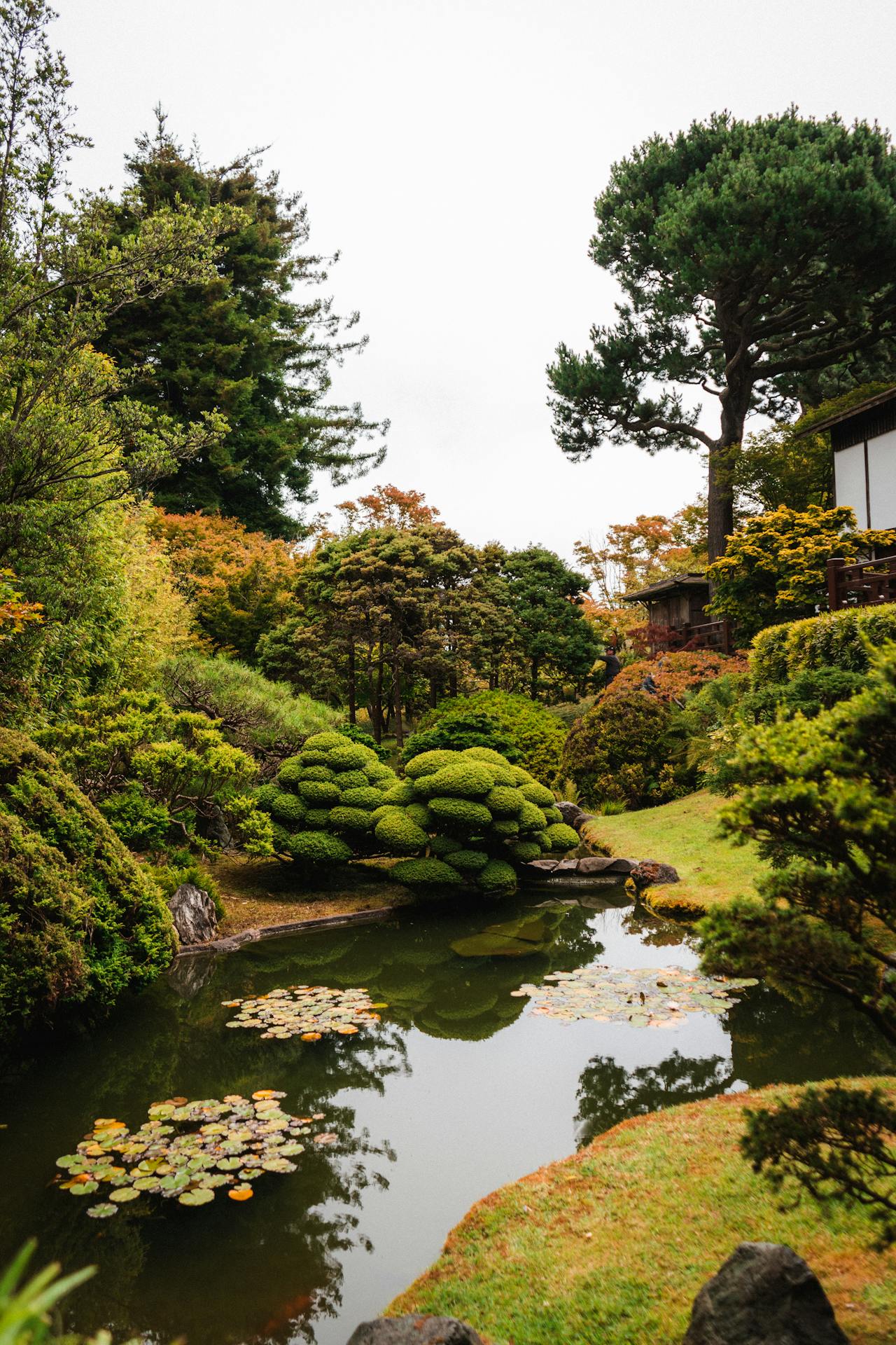 Japanese garden with pond