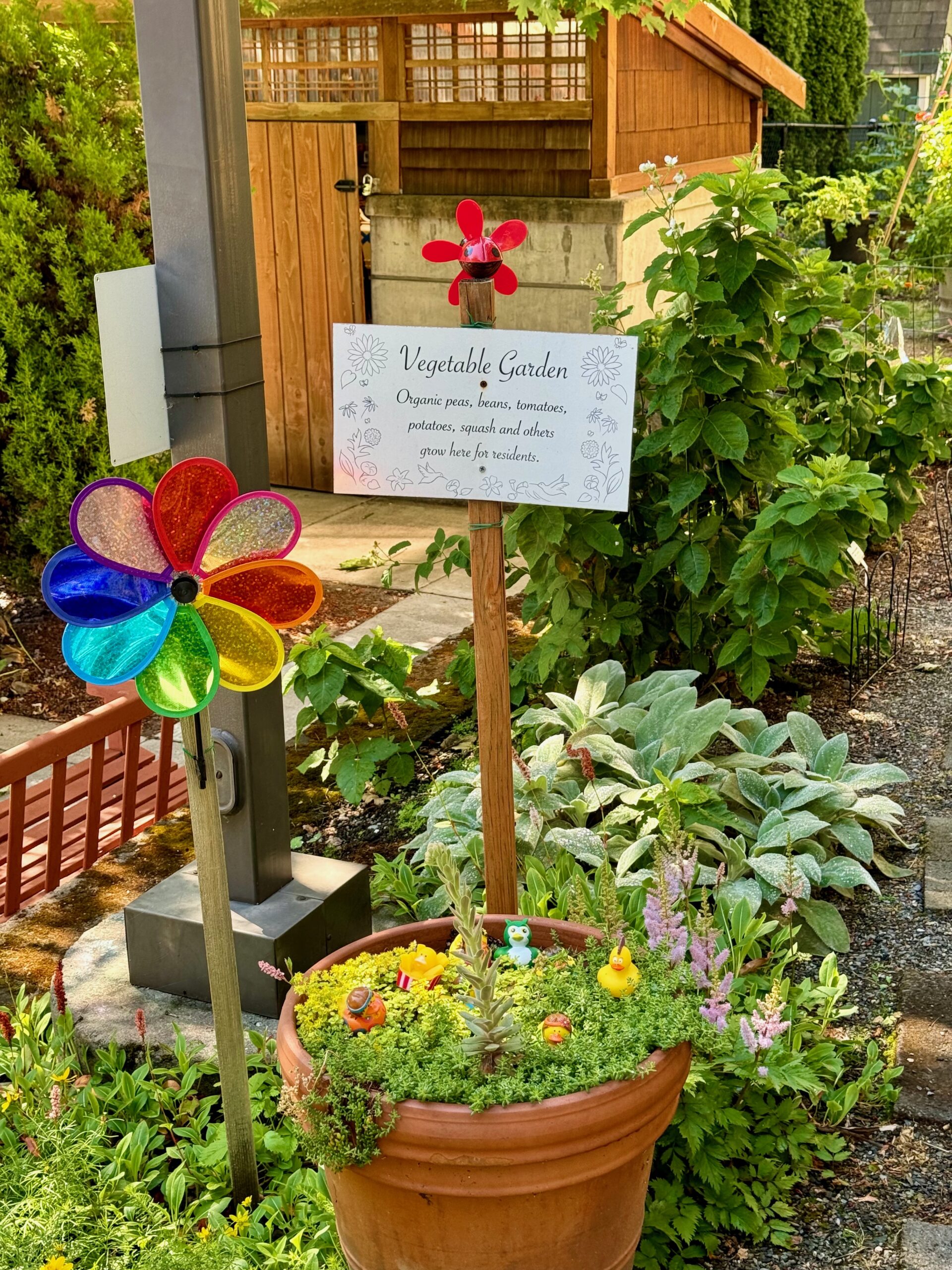 plants in pots in front of shed with vegetable garden sign and colorful garden art