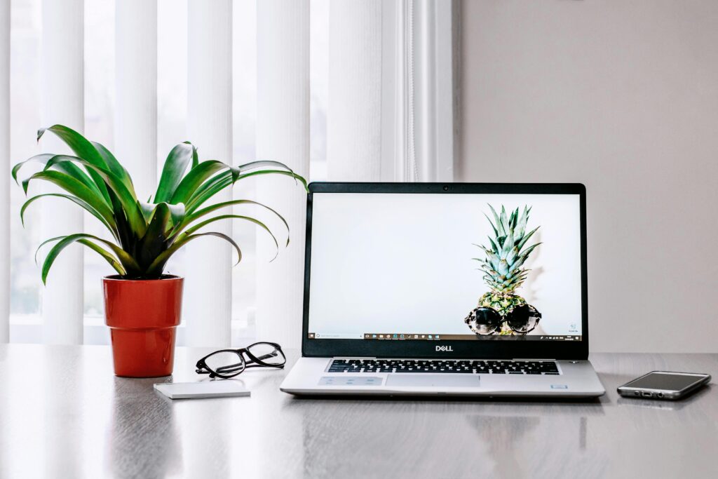 Laptop with plant and pineapple.