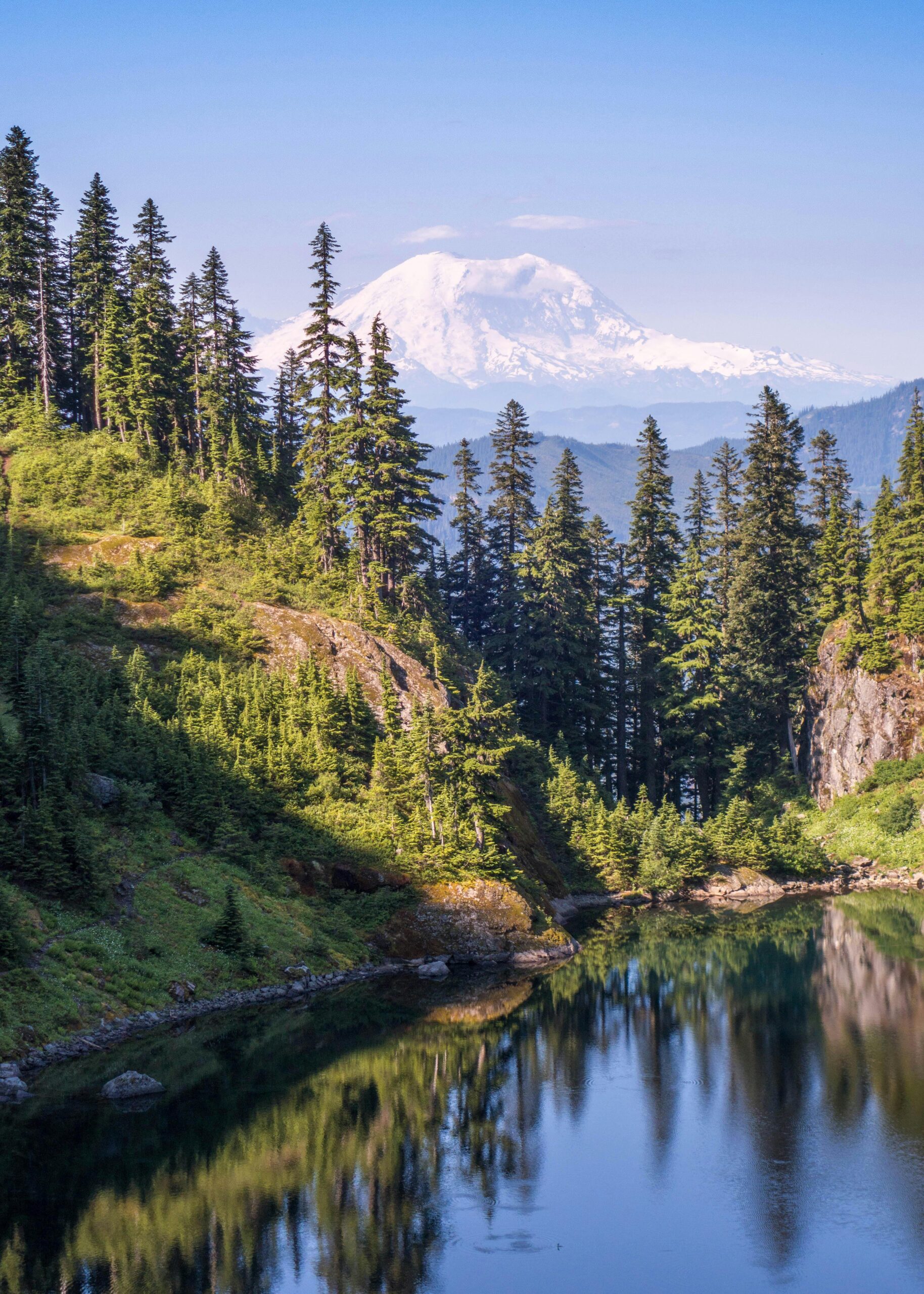 Mt rainier in back with trees and a body of water in foreground