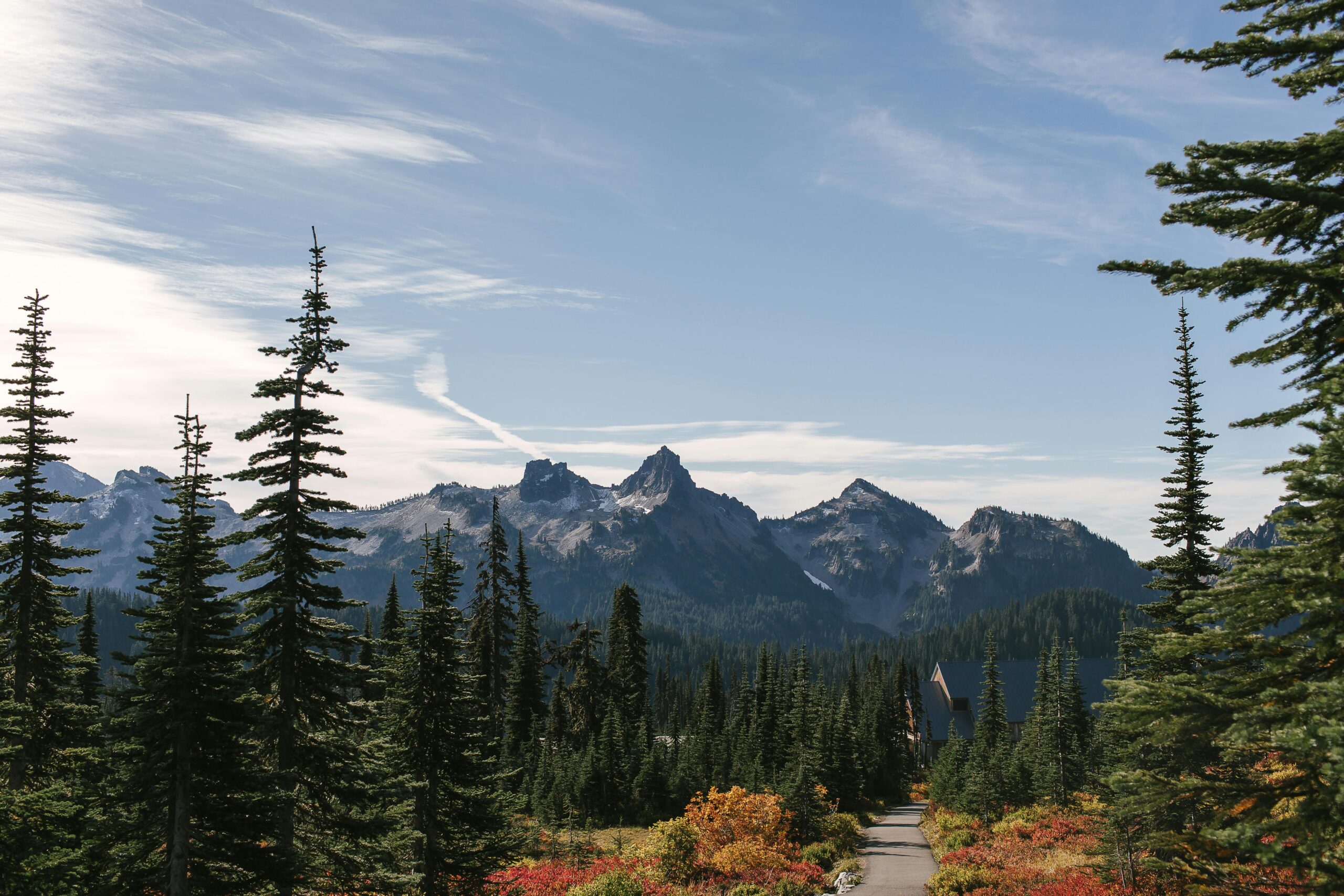 view of rainier hiking trail with mountain in back and trees