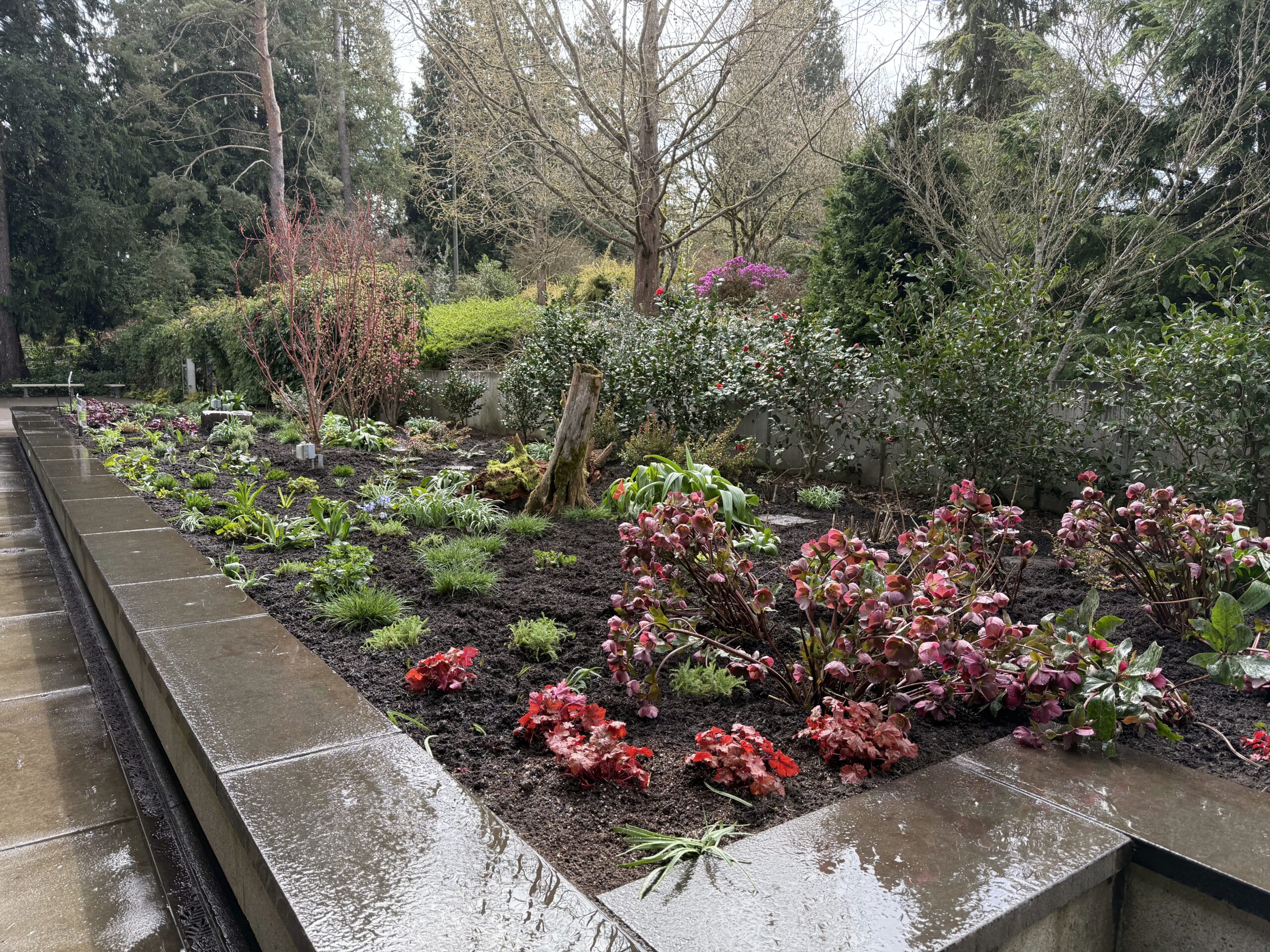 Habitats at Home Demonstration Garden