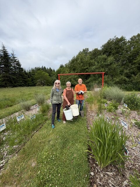 Master Gardener demonstration garden leaders at a work party