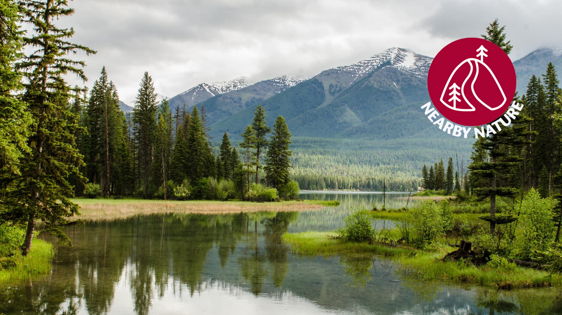 Wetlands with mountain in background