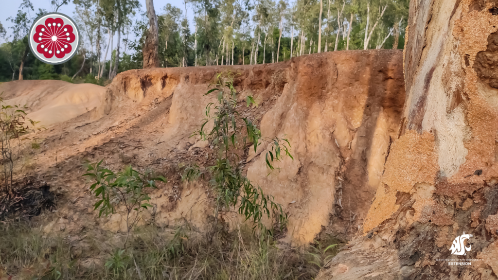 Soil erosion