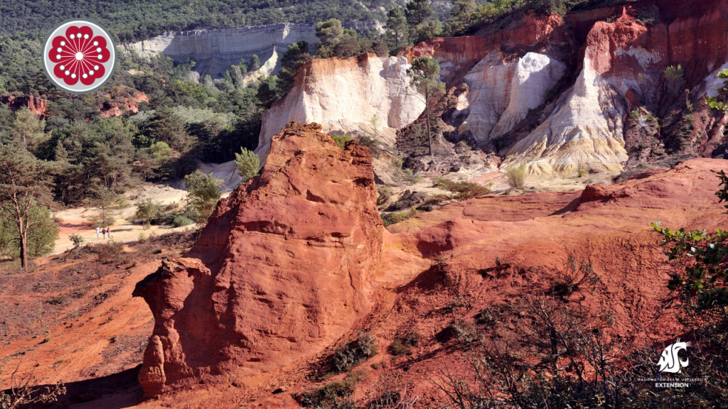 Red soil in canyon