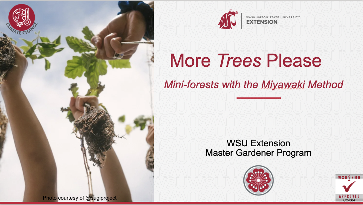 First page of the More Trees, Please presentation