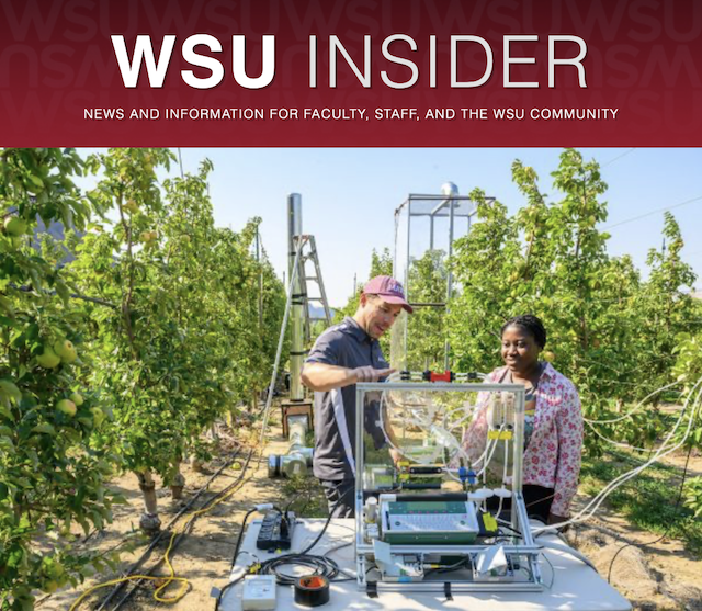 Climate detection machinery in apple orchard