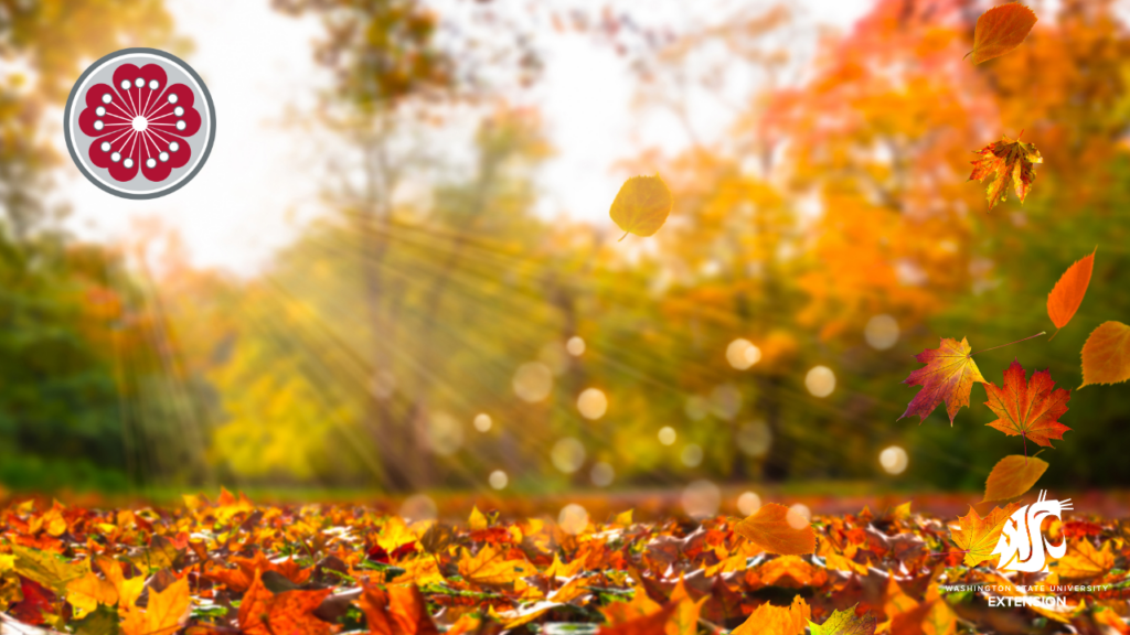 Zoom background of fall leaves with sun flare.