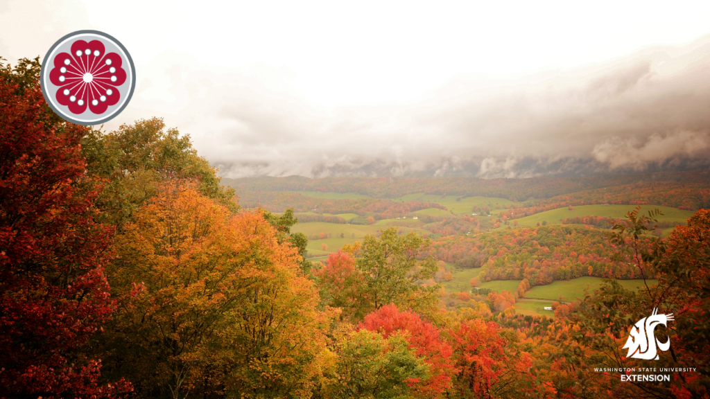 Zoom background of fall colors in a valley.