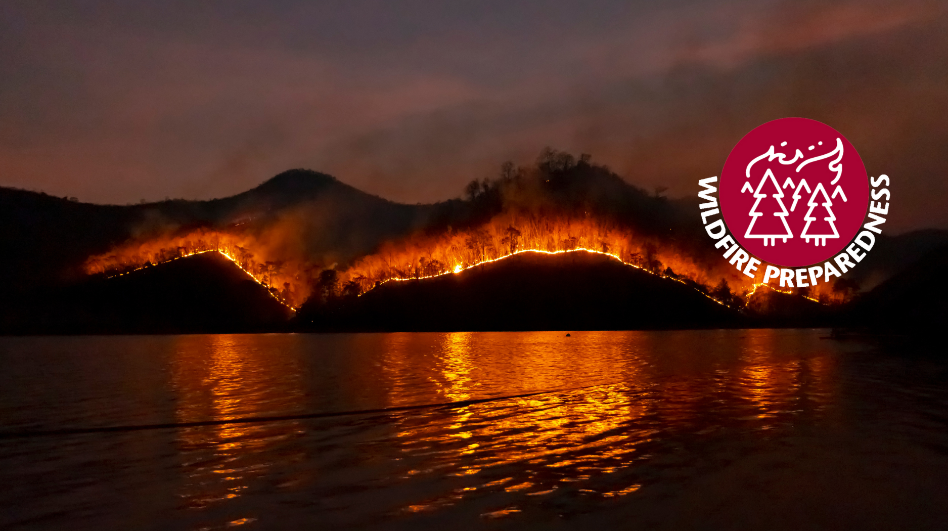 wildfire on hillside