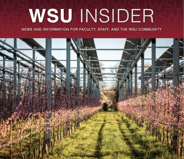 Apple orchard with solar panels