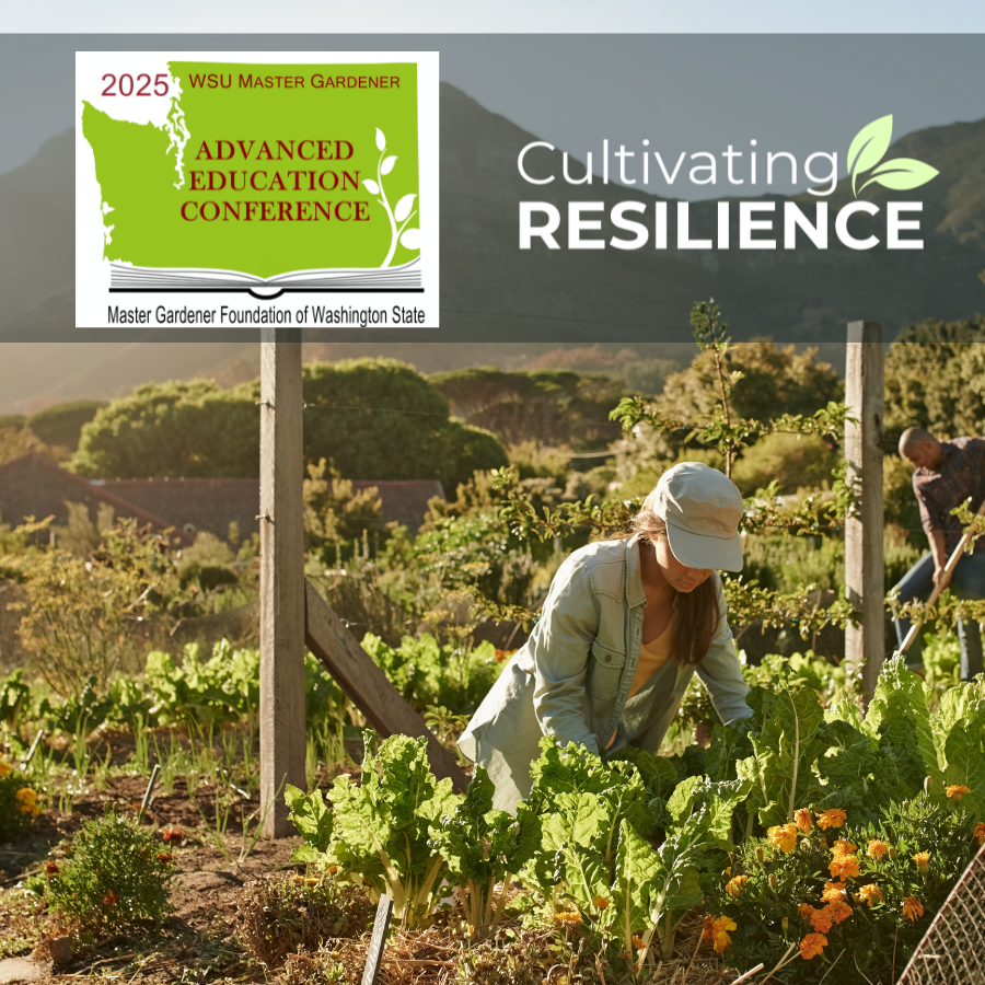 Resources title slide for conference materials