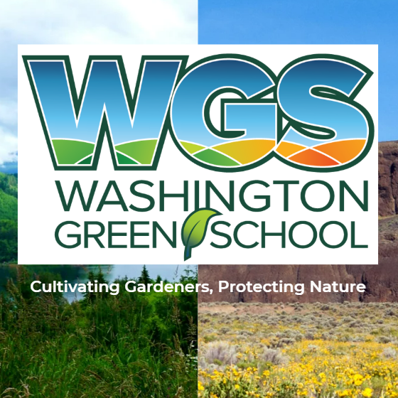 Washington Green School wordmark against Washington landscape.