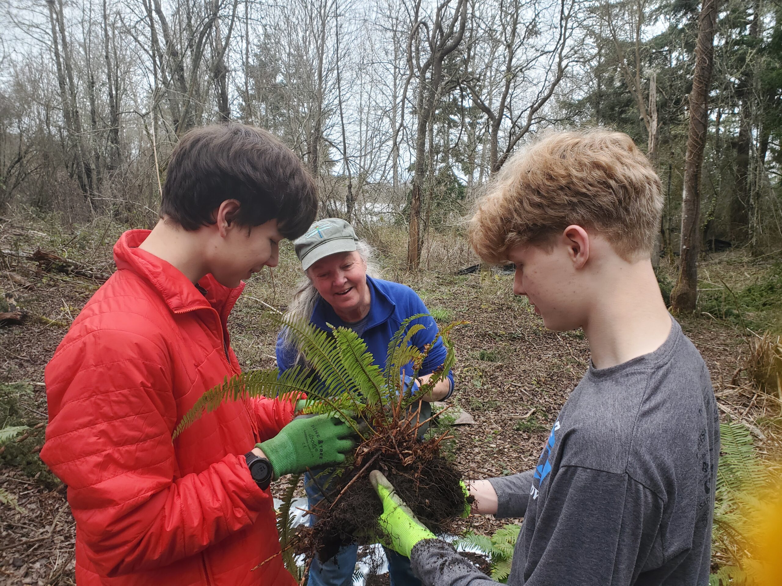People examining native plants.