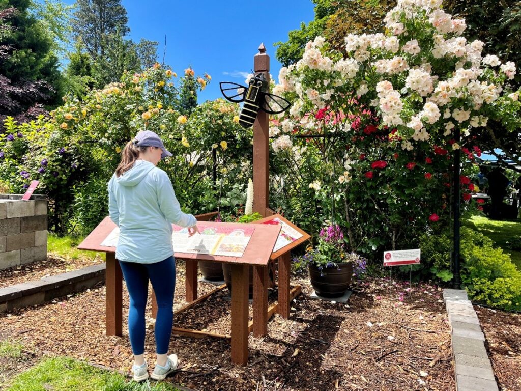 Educational station in use at Pierce County demo garden.