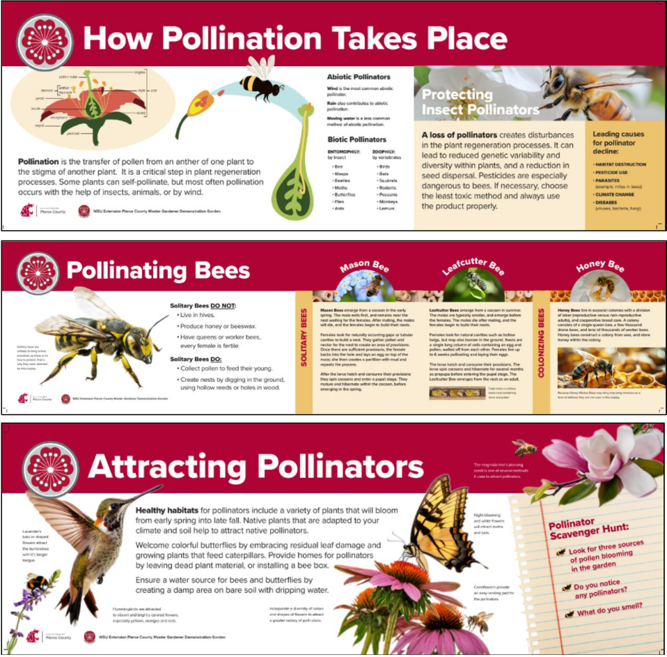Photo of 3 education signs located at the Pierce County demonstration garden.