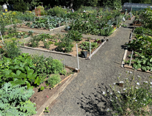 Wahkiakum Community Garden plots