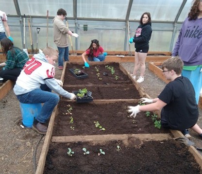 Wahkiakum High School students propagating plants for the Community Garden.