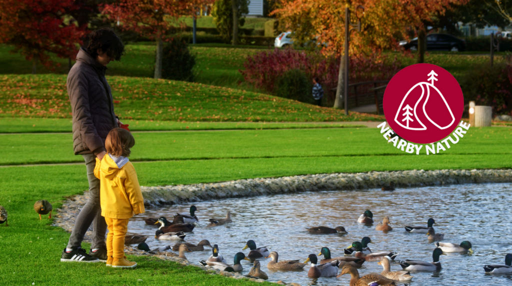 Woman and little girl watching ducks at a park.