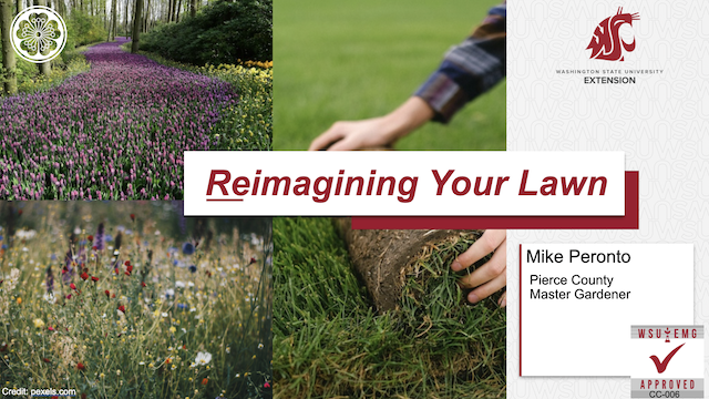 Cover page for the Reimagining Your Lawn presentation